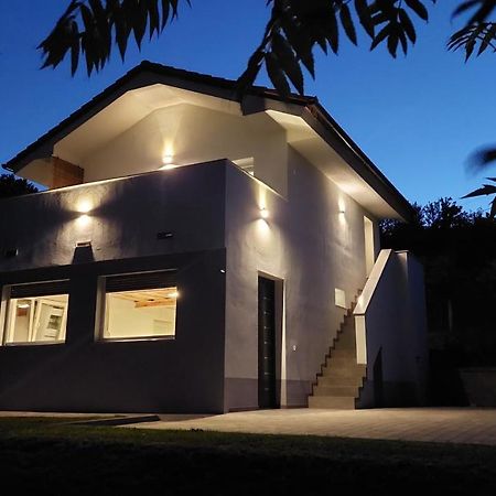 Grajsko Villa Metlika Kültér fotó