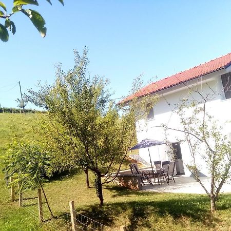 Grajsko Villa Metlika Kültér fotó