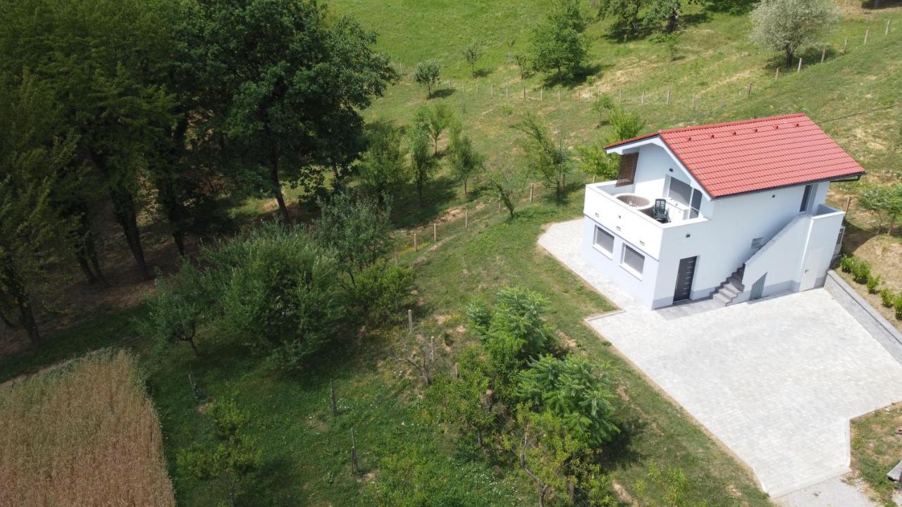 Grajsko Villa Metlika Kültér fotó