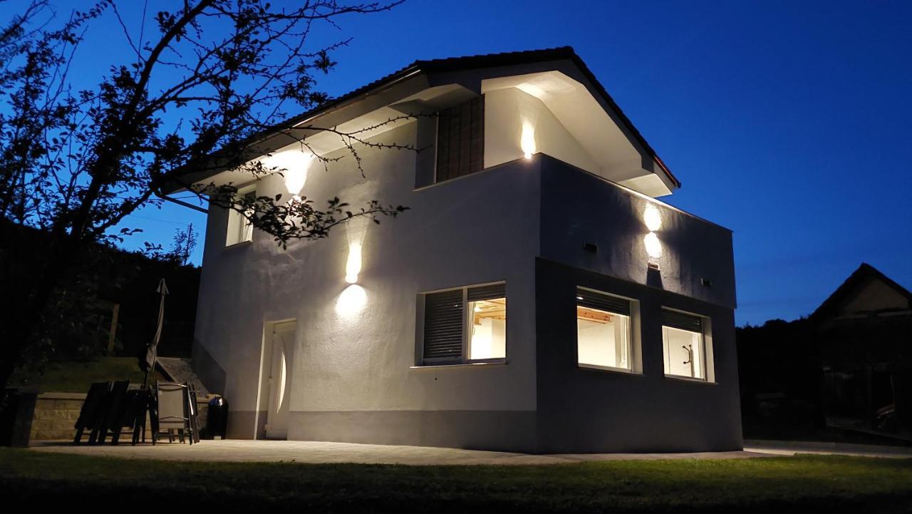 Grajsko Villa Metlika Kültér fotó