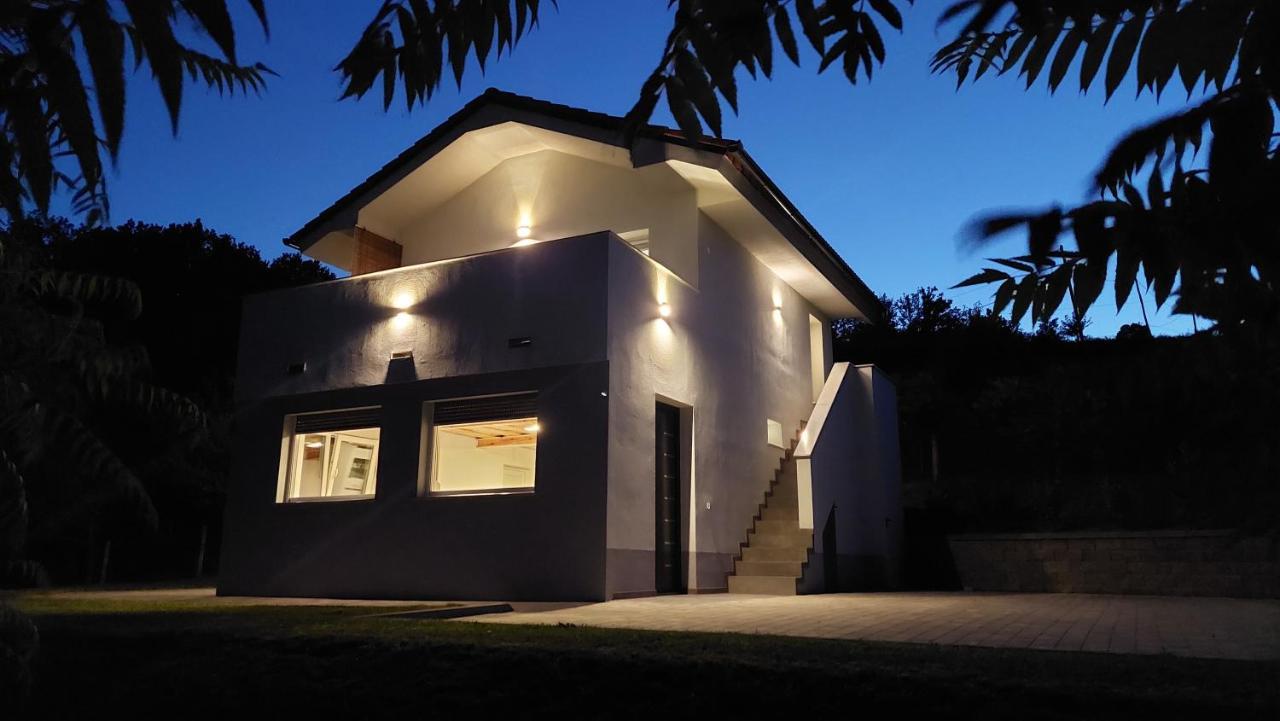 Grajsko Villa Metlika Kültér fotó