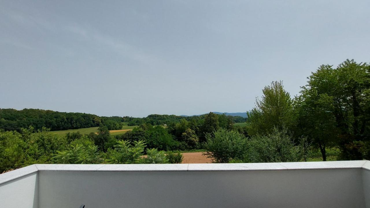 Grajsko Villa Metlika Kültér fotó