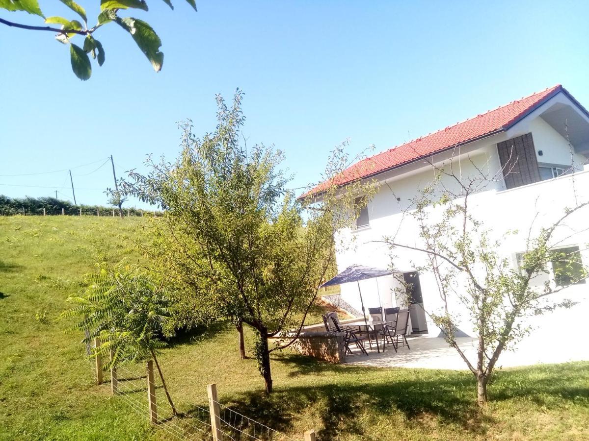 Grajsko Villa Metlika Kültér fotó